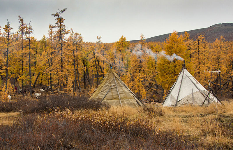 trip trip to taiga mountains